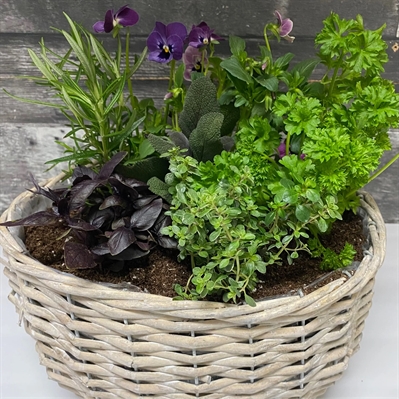 Indoor Herb Garden Workshop | iNFOnews.ca Indoor Herb Garden Workshop