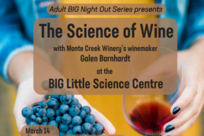 Adult BIG Night Out: The Science of Wine