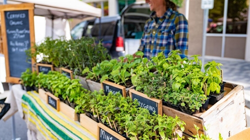 Penticton Outdoors Farmer’s Market 2024