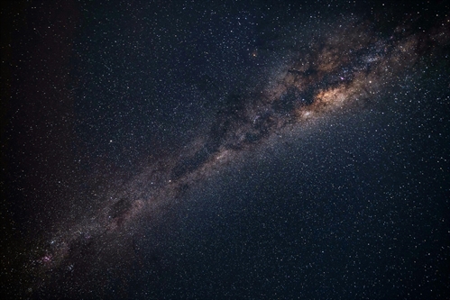 Taste the Stars at Eliza