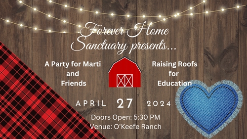 A Party for Marti and Friends – Raising Roofs for Education