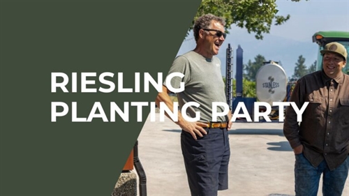 Riesling Planting Party at Lightning Rock Winery