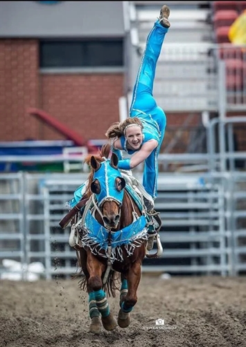 104th Falkland Stampede (Saturday to Monday)