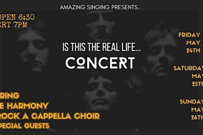 Is This The Real Life… Concert