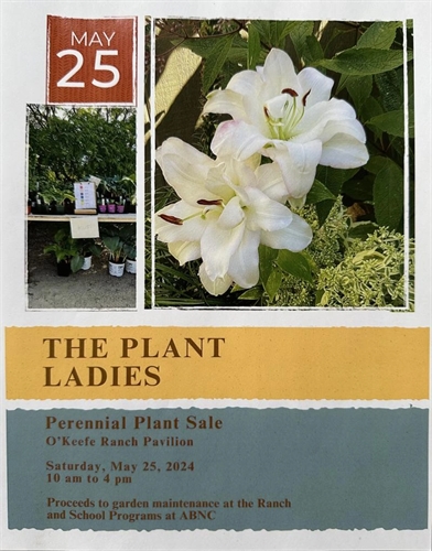 Perennial Plant Sale