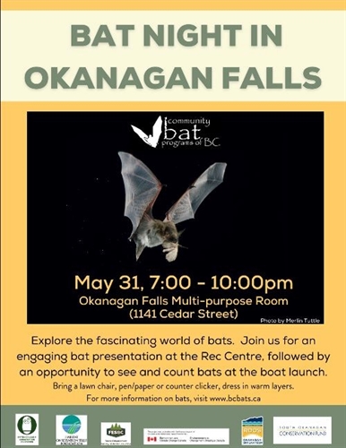 Bat Night in Okanagan Falls | iNFOnews.ca Bat Night in Okanagan Falls