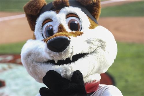 Kamloops NorthPaws 3 Game Home Opener to the WCL Season(Friday to Sunday)