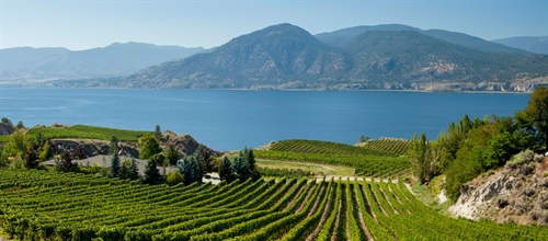 Okanagan Spring Wine Festival (June 2nd through 23)