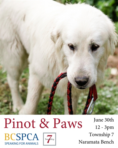 PINOT & PAWS AT TOWNSHIP 7 WINERY