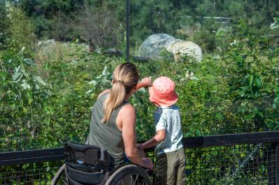Scavenger Hunt at the BC Wildlife Park