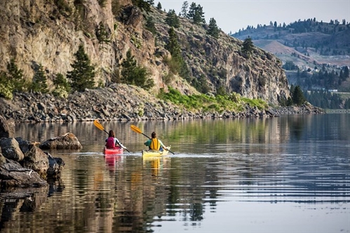 KAYAK WINE TOUR