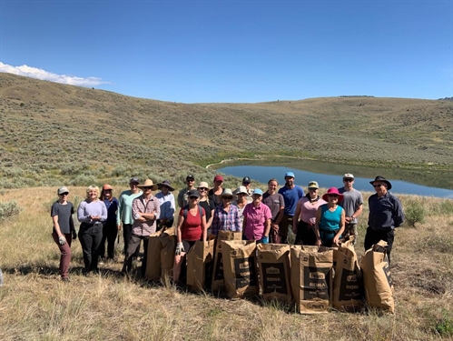 Volunteer Opportunity: Invasive Plant Pull