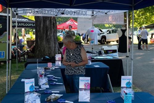 Music in the Park Market