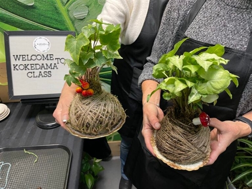 Planting Workshops at Sahara Garden Art Co (Saturdays) | iNFOnews.ca Planting Workshops at Sahara Garden Art Co (Saturdays)