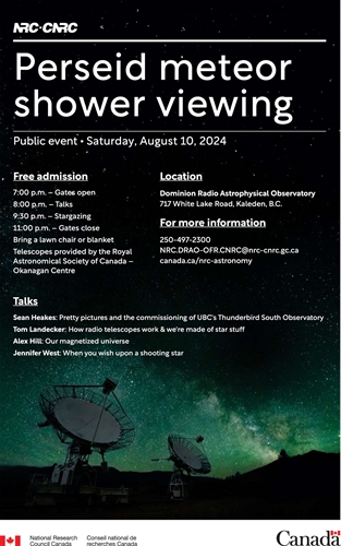 Perseid Meteor Shower Viewing
