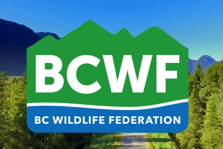 Town Hall Meeting to discuss the state of wildlife management in BC