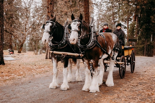 Scotch Tasting with Horse Drawn Okanagan