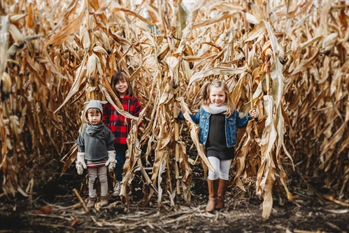 Family Daze in the Corn Maze (Saturdays & Sundays)