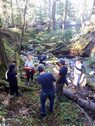 Wild Mushroom Identification Tour (Full Day Tour)