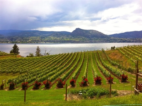 Okanagan Fall Wine Festival 2024 (Friday & Saturday(