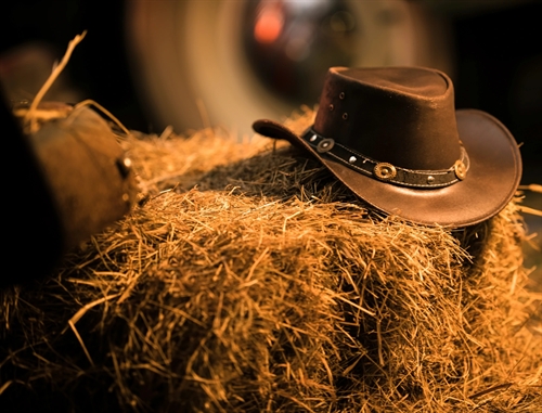 Spaghetti Western