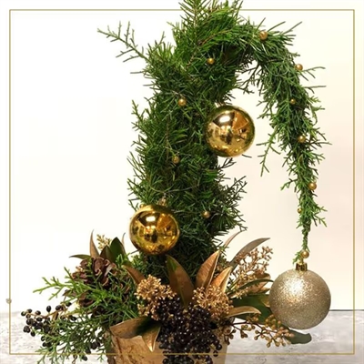 Grinch Tree Making Workshop (Saturday & Sunday) | iNFOnews.ca Grinch Tree Making Workshop (Saturday & Sunday)