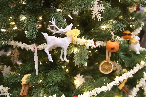 Festival of Trees (November 14 to January 3rd)