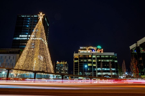 Kelowna’s Tree of Hope Light Up Festival
