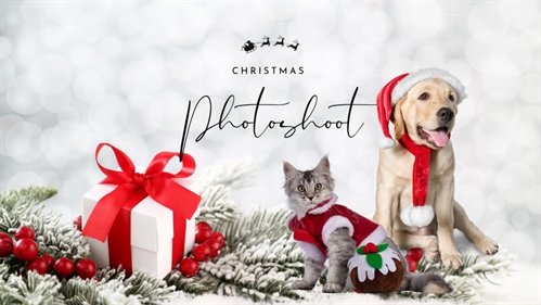 Christmas Pet Photo Fundraiser