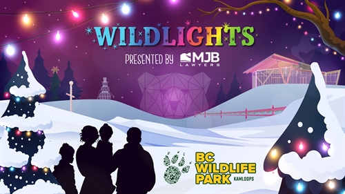 Wildlights at the BC Wildlife Park (Dec 13 to Jan 5 closed on Dec 25)