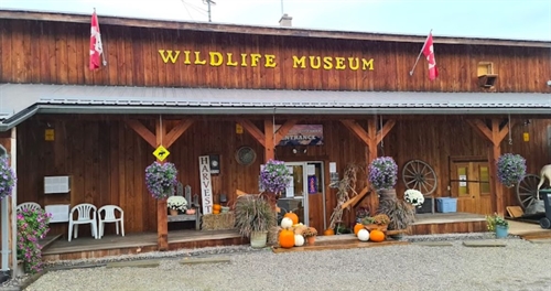 Wildlife Sketching Meetup
