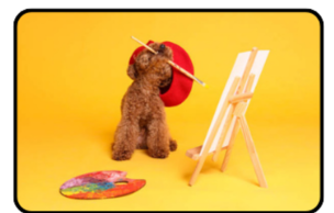 Pawcasso Paint Pop-Up!