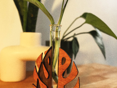 Custom Plant Propagation Station