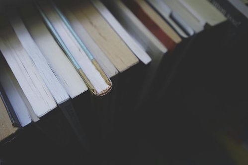Salon du livre francophone – French Book Fair (Wednesday to Saturday)