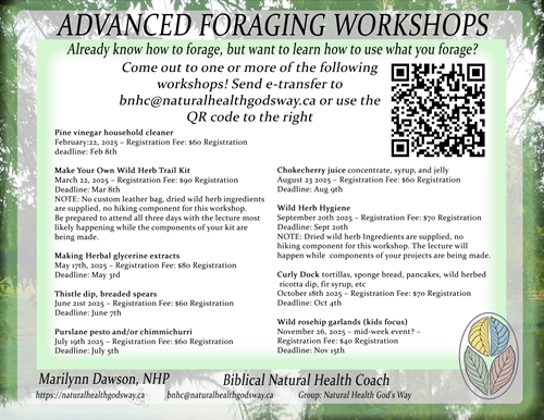 Advanced Foraging Workshop – Baking w/ Curly Dock, fir syrup, etc