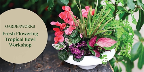 Fresh Flowering Tropical Bowl Workshop
