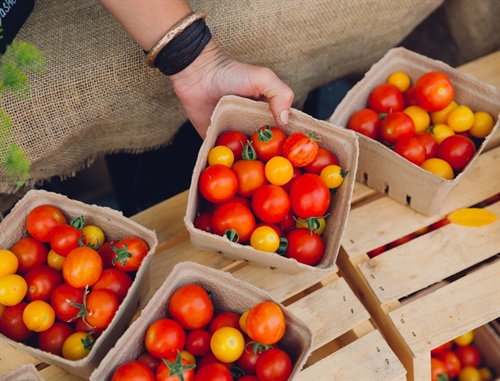 Kamloops Winter Farmers’ Market (Saturdays)