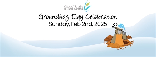 Groundhog Day Celebration