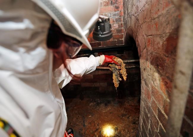 London studying ways to reduce new fatberg under Chinatown | iNFOnews.ca London studying ways to reduce new fatberg under Chinatown | iNFOnews.ca