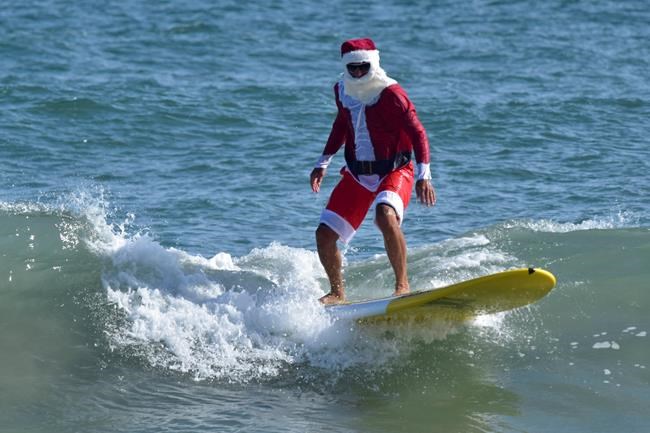 Christmas in Florida: Chilly forecast, falling iguanas | iNFOnews.ca