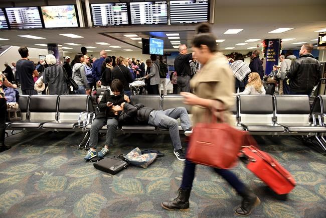 Cruise line offered counselling after airport shooting | iNFOnews.ca
