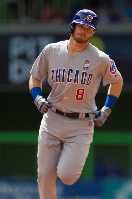 Cubs' Happ hits home run on 1st pitch of 2018 MLB season | iNFOnews.ca