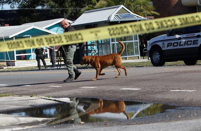 Police say man on video near 2 of 4 shootings is suspect | iNFOnews.ca Police say man on video near 2 of 4 shootings is suspect | iNFOnews.ca