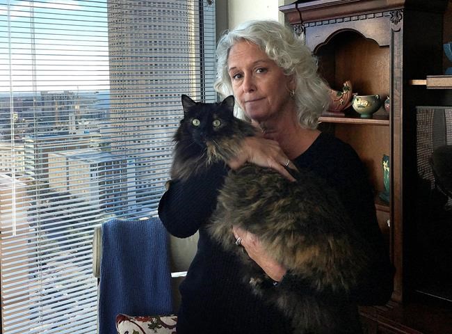 Man alleges bobcat attack; condo owner says it was housecat | iNFOnews.ca Man alleges bobcat attack; condo owner says it was housecat | iNFOnews.ca
