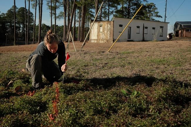 Researchers to look for more graves at Florida reform school | iNFOnews.ca