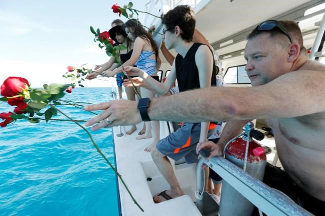 A coral reef cemetery is home to life in the afterlife | iNFOnews.ca A coral reef cemetery is home to life in the afterlife | iNFOnews.ca