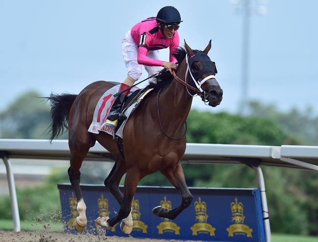 Filly Wonder Gadot beats the heat, field to win $1-million Queen's Plate | iNFOnews.ca CP1172273258