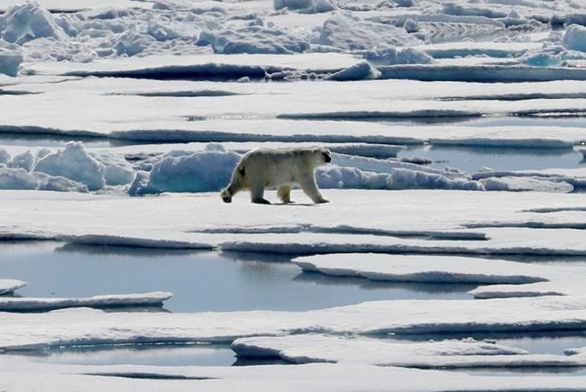 Envoy says US to keep fighting greenhouse gas emissions | iNFOnews.ca
