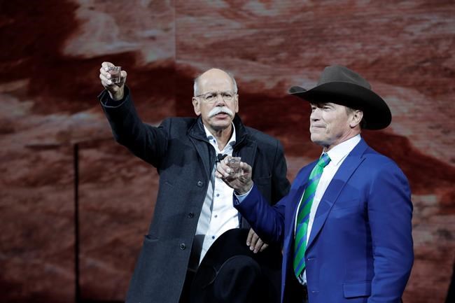 Daimler CEO Zetsche to step down early, succeeded by insider | iNFOnews.ca