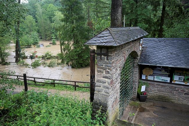 Lions, tigers, jaguar, bear escape flooded German zoo cages | iNFOnews.ca Lions, tigers, jaguar, bear escape flooded German zoo cages | iNFOnews.ca